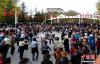 图为10月19日，拉萨市布达拉宫脚下的宗角禄康公园内，身着民族服装的民众跳起锅庄舞。李林 摄