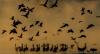 冬日晨雾中的黑颈鹤（摄于拉萨市林周县虎头山水库）。新华社记者 普布扎西 摄