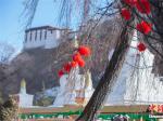 西藏拉萨春节氛围渐浓
