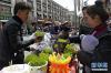 2月21日，市民在拉萨街头的年货市场选购寓意丰收的青稞苗。