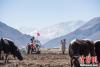 西藏拉萨堆龙德庆区马乡马村春耕仪式结束后，在一旁拍照留影的村民们。