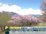 西藏林芝：十万亩桃花开出村民的小康生活