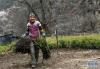 木协乡下罗娘村的一名村民将苗木拿到移栽地准备种植（4月3日摄）。