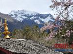 西藏巴松措景色迷人 游客千里迢迢来赴约