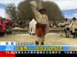 西藏 象雄文化保护：孔雀舞——传统文化的延续