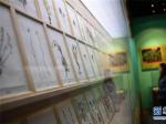 探访中国藏医药文化博物馆
