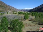 川藏线上的风景 西藏左贡初夏如画