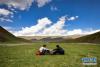 6月15日，在青海省海北藏族自治州祁连县野牛沟乡，两名当地小朋友在草滩上进行蹬棍比赛。蹬棍是青藏高原藏族民间流行的独具一格的体育运动项目。比赛一般为两人，参赛双方坐在草地上四足相抵，两方双手共握一根木棒，以将对手拉离地面为胜，是锻炼腰部力量的有效方法。新华社记者 吴刚 摄