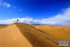 一名游客站在沙丘上眺望。