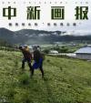 28岁的那吉卓玛生活在云南迪庆藏族自治州建塘镇吉迪村，当地盛产松茸，每年7月至9月是松茸大量产出的季节，每到这个时候，当地藏族民众都会放下日常半农半牧的劳动，一起上山捡松茸。对于都是单亲妈妈的那吉卓玛和母亲来说，每天带着1岁多的孩子上山捡松茸是现在最主要的工作。中新社记者 任东 摄