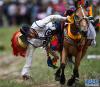 7月28日，一名骑手在赛马活动中进行表演。新华社记者 普布扎西 摄