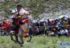 7月28日，一名骑手在表演骑马射箭。新华社记者 觉果 摄