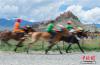 当日，在西藏江孜古堡下举行的赛马。中新社记者 何蓬磊 摄