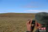 萨太尔是西藏羌塘国家级自然保护区那曲地区管理局中的一个管理站，站里的10位野保员均来自当地安多县扎曲乡的牧民。他们的日常工作就是沿着藏羚羊、藏野驴、藏原羚等国家级保护动物活动的区域进行巡逻，防止盗猎者进行偷盗。赵玉芹 摄