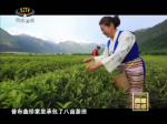 《西藏诱惑》高原茶谷