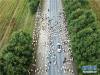9月14日，青海省贵南县境内，转场的羊群正在穿越公路。新华网记者 贾海元摄