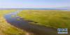 这是7月16日航拍的青海湖上游布哈河流入青海湖的交汇处。新华社记者 吴刚 摄