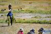9月18日，西藏尼玛县文部乡北村的村民将捆扎好的饲草集中。新华社记者 张汝锋 摄