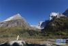在四姑娘山双桥沟内，一位游客拍摄金刚峰和布达拉峰（10月23日摄）。新华社记者 江宏景 摄