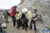 4月10日，登山季期间，日喀则定日县扎西宗乡的村民们使用自家牦牛从海拔6500米的前进营地驮运垃圾。新华社发