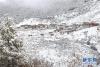 远眺初雪中的稻城县热乌寺（11月4日摄）。新华社记者 江宏景 摄