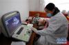 安徽省援藏医疗人员在西藏山南市错那县勒门巴民族乡为当地村民采用B超检查腹腔，进行包虫病筛查（8月7日摄）。新华社记者 晋美多吉 摄