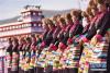 11月15日，西藏扎囊县群众在文化节开幕式上表演。新华社记者 普布扎西 摄