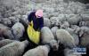 11月29日，青海省海北藏族自治州刚察县沙柳河镇新海村牧民彭毛卓玛给自家的羊喂饲料。新华社记者 张宏祥 摄