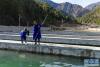 下亚东乡切玛村鲑鱼养殖专业合作社的技术员在打捞池塘中的杂质(12月9日摄)。新华社记者 刘东君 摄