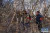 拉萨市墨竹工卡县日多乡怎村的公益林管护员在林区进行日常巡逻(12月6日摄)。