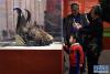 12月28日，在广州艺术博物院，一名小朋友被展出的牦牛头标本吸引。新华社记者 梁旭 摄