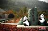 12月28日，雅康高速天全隧道口的熊猫雕塑。 中新社记者 刘忠俊 摄