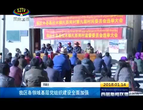 西藏各领域基层党组织建设全面加强