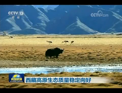西藏高原生态质量稳定向好