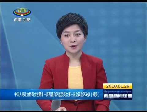 中国人民政治协商会议十一届西藏自治区委员会第一次会议政治决议（摘要）