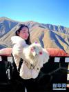 一名游客在岗巴拉山观景台抱着次卓玛的小羊留影（1月14日摄）。新华社记者 张汝锋 摄