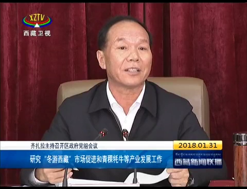 齐扎拉主持召开西藏自治区政府党组会议
