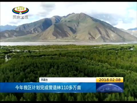 今年西藏计划完成营造林110多万亩