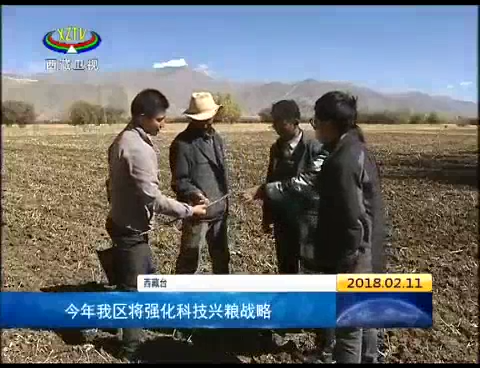 今年西藏将强化科技兴粮战略