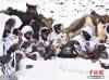 西藏阿里高原多地降大雪，气温降至-20℃左右，部分地段积雪厚度达到1米，驻守在海拔4600多米的陆军某边防团波林边防连加强边境管控力度，采取乘马与徒步相结合的方式对海拔5300多米的执勤点位实施边防巡逻。