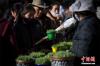 图为拉萨市民购买年货青稞苗。中新社记者 何蓬磊 摄