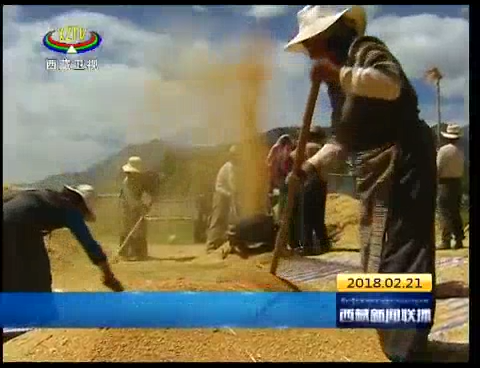 西藏积极执行兴粮惠农政策 保护种粮农民利益