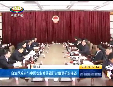 西藏自治区政府与中国农业发展银行赴藏调研组座谈