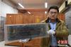 武威市博物馆现存的大藏经98%是手抄本，系元、明两代手抄而成。大藏经抄写年代久远，内容丰富，用料考究，具有重大历史和文献研究价值。