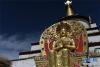 藏娘佛塔中的佛像（3月9日摄）。新华社记者 吴刚 摄