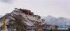 雪后的布达拉宫(3月18日摄)。