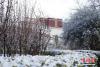 3月30日，西藏拉萨市城区被一场春雪覆盖，全城一幅银装素裹的景象，拉萨市民的朋友圈也被雪景“霸占”。