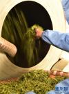 墨脱县茶厂员工加工新鲜茶叶（4月6日摄）。新华社记者 觉果 摄
