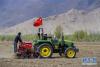 拉萨市曲水县茶巴朗村的村民驾驶农机在田间作业（4月24日摄）。新华社记者 刘东君 摄