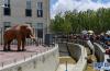 当日，游人在拉萨曲水动物园大象馆观赏游玩。新华社记者 刘东君 摄